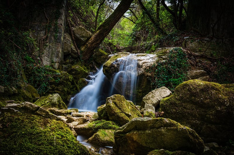 Whimsical Waterfall